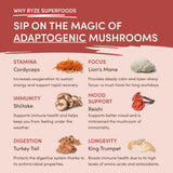 Mushroom Chai Select M6A50