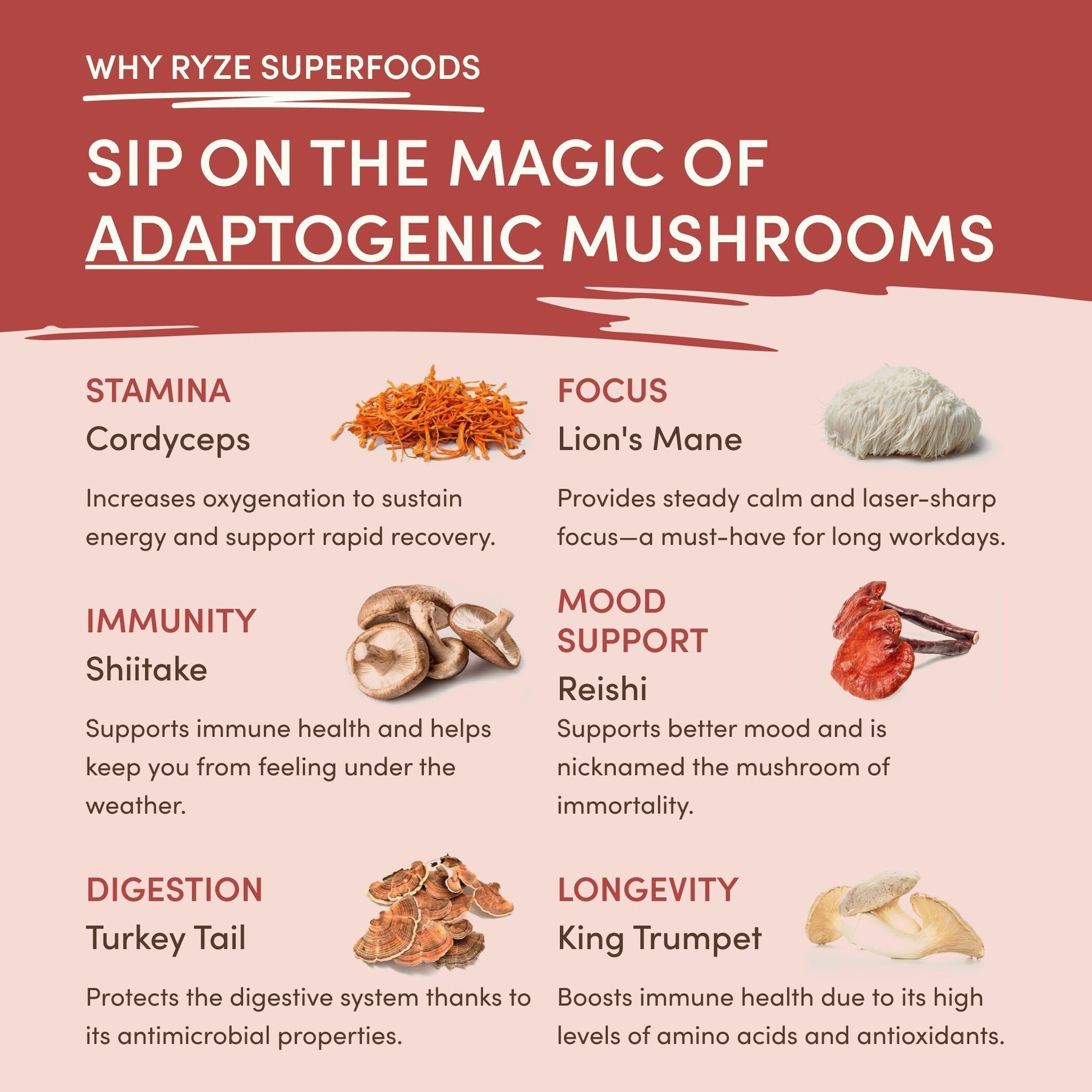 Mushroom Chai Select M6A50